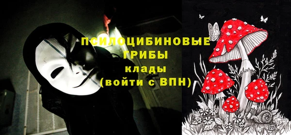 каннабис Белокуриха